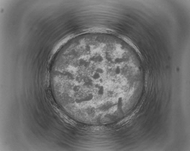 X0000085001067200703261123