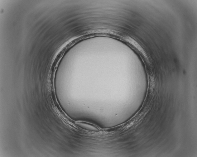 X0000085001068200703261123