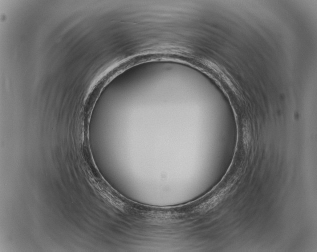 X0000085001069200703261123