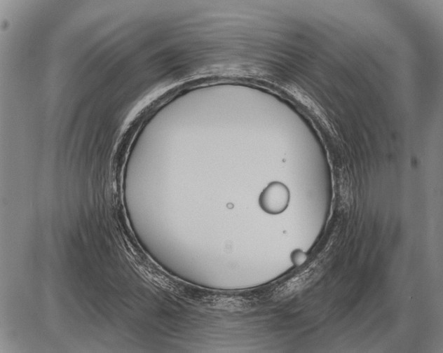 X0000085001070200703261123