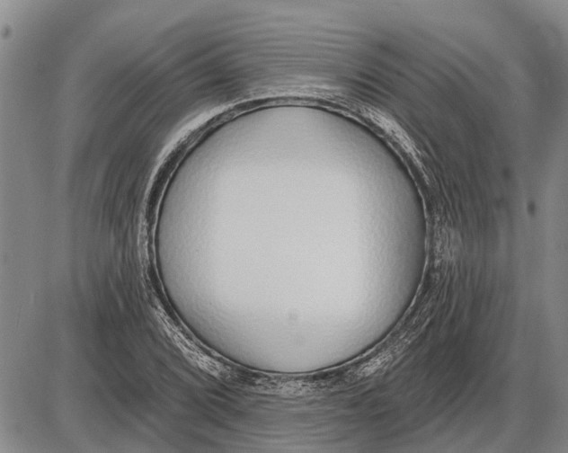 X0000085001072200703261122