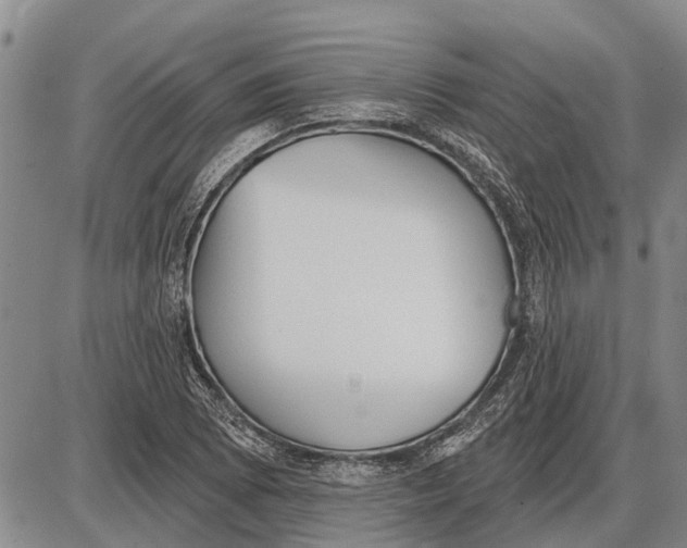 X0000085001073200703261122