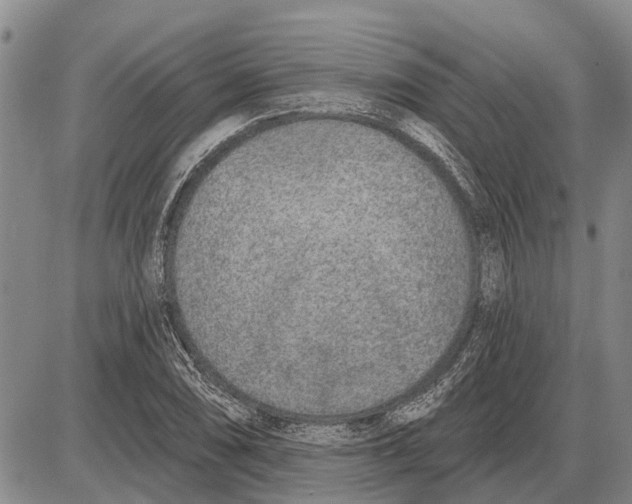 X0000085001074200703261122