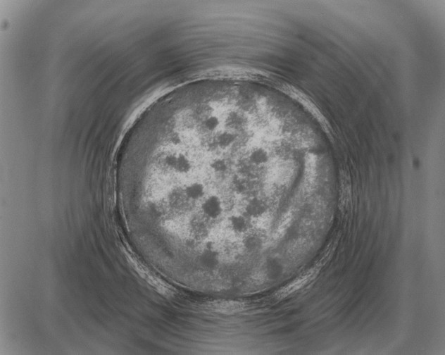 X0000085001075200703261122