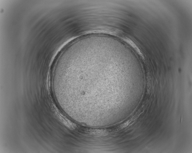 X0000085001076200703261122