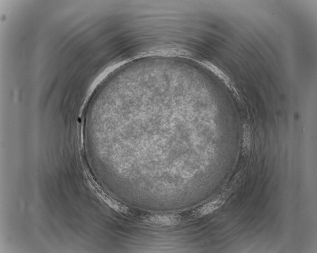 X0000085001078200703261122