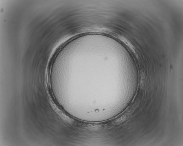 X0000085001080200703261122