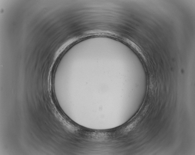 X0000085001082200703261122