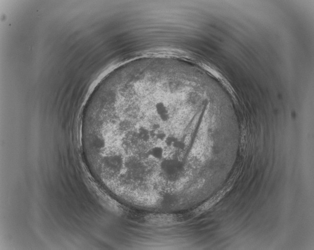 X0000085001083200703261122