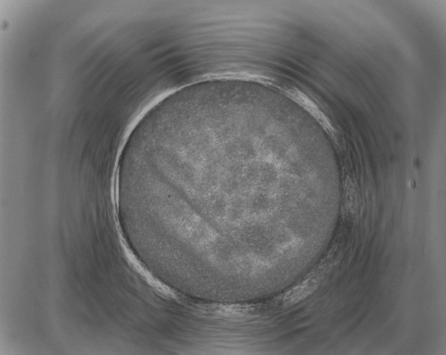 X0000085001084200703261122