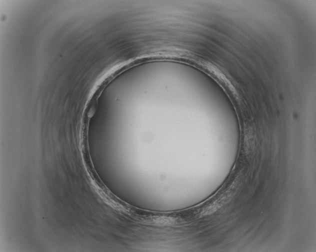 X0000085001085200703261122