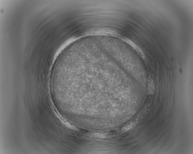 X0000085001086200703261122