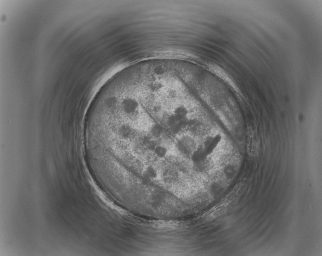 X0000085001087200703261122