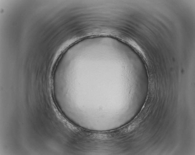 X0000085001088200703261122