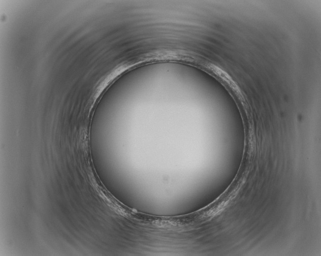 X0000085001089200703261122