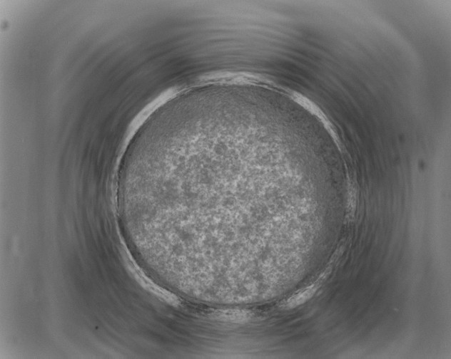 X0000085001090200703261122