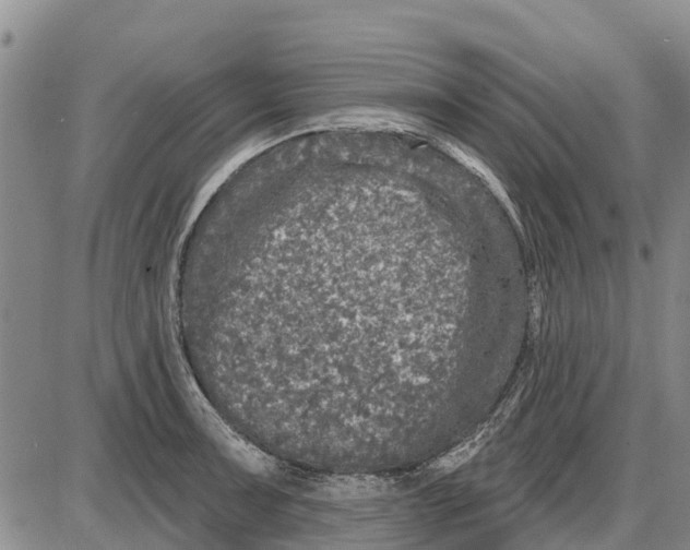 X0000085001091200703261122