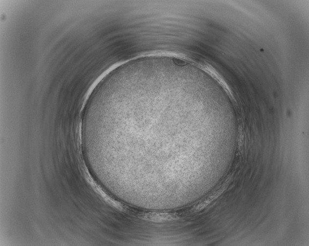 X0000085001092200703261122