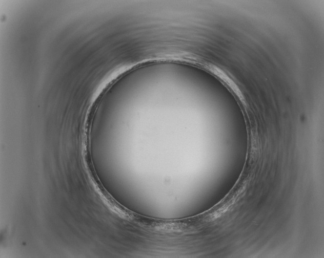 X0000085001093200703261122