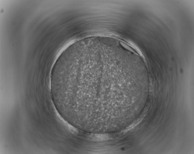 X0000085001095200703261122