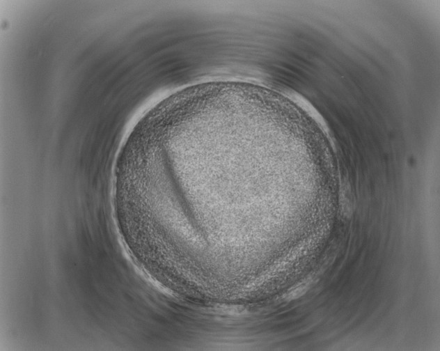 X0000085001096200703261122