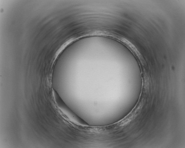 X0000085001097200703261122