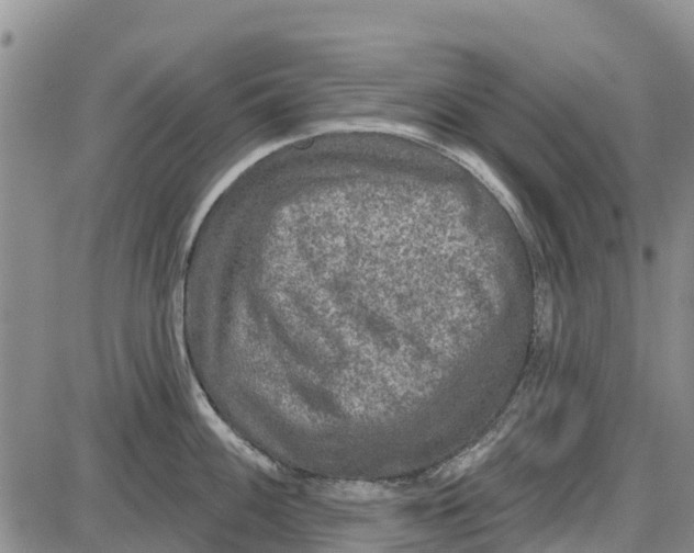 X0000085001100200703261122