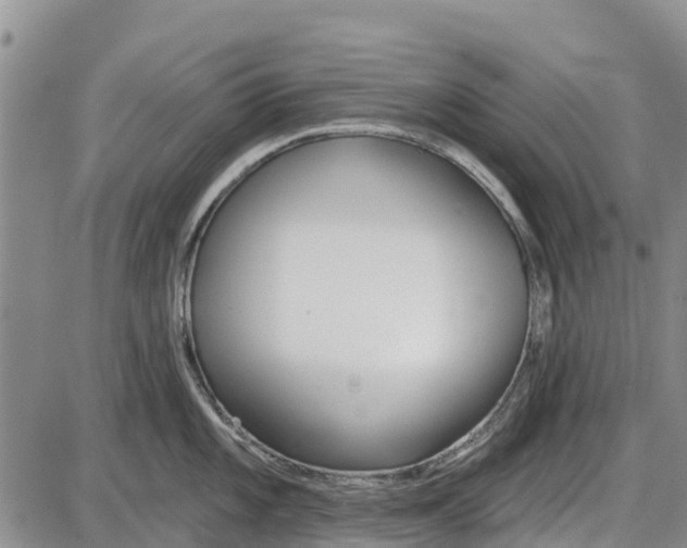 X0000085001101200703261122