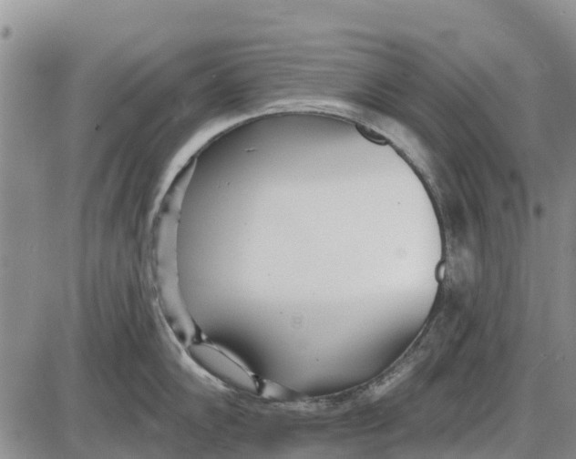 X0000085001102200703261122