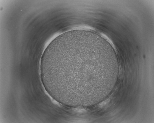 X0000085001103200703261122