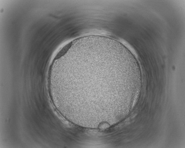 X0000085001104200703261122