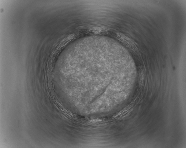 X0000085001105200703261121