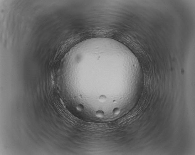 X0000085001106200703261121