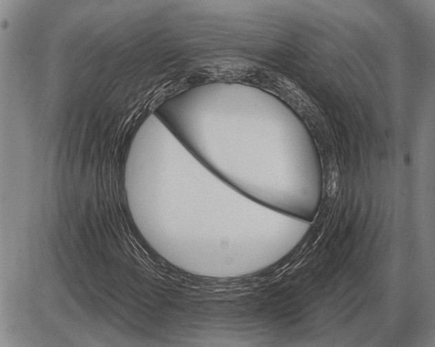 X0000085001108200703261121