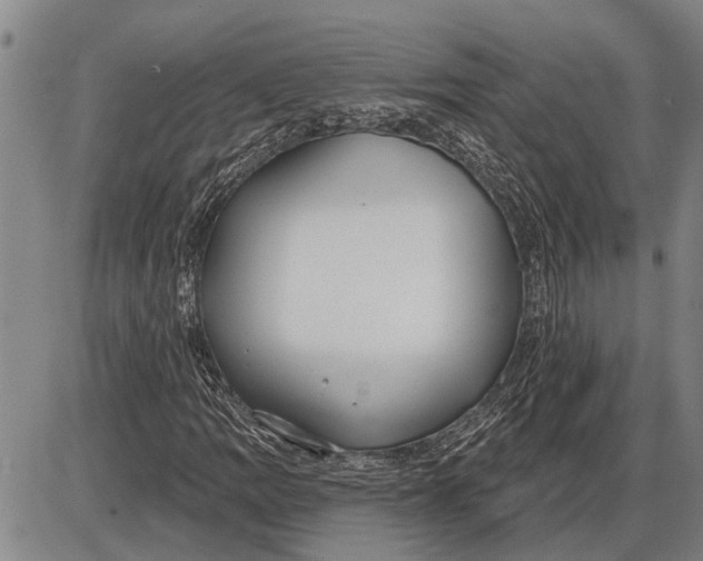 X0000085001109200703261121