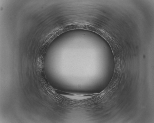 X0000085001110200703261121