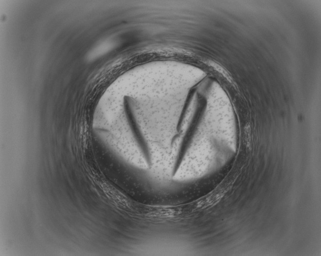 X0000085001111200703261121