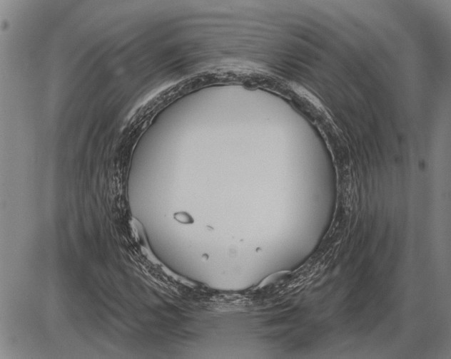 X0000085001112200703261121