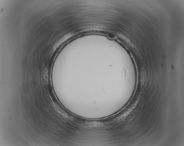 X0000085001113200703261121