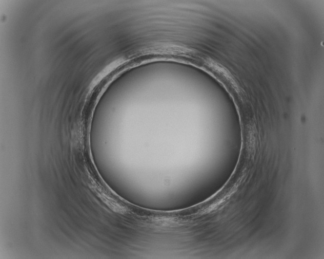 X0000085001114200703261121