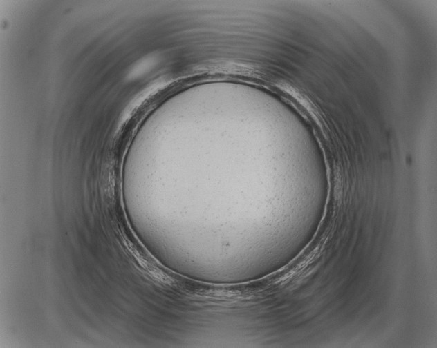 X0000085001115200703261121