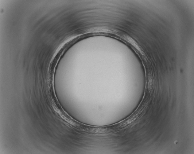 X0000085001116200703261121