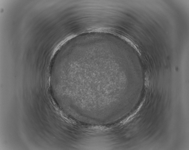 X0000085001117200703261121