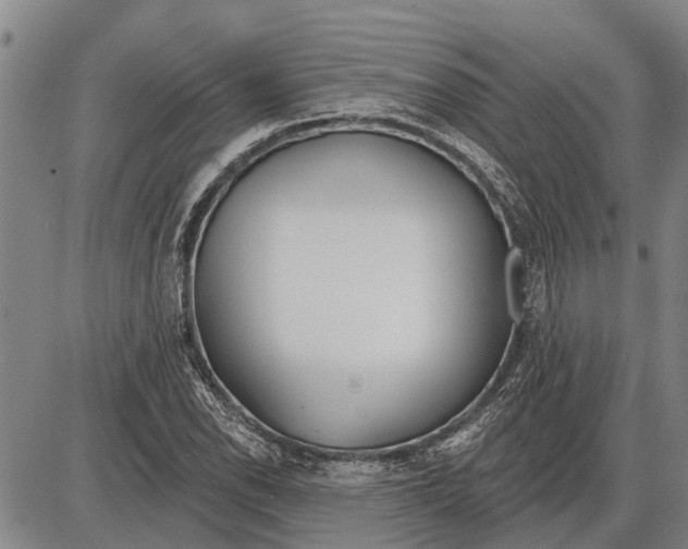 X0000085001118200703261121