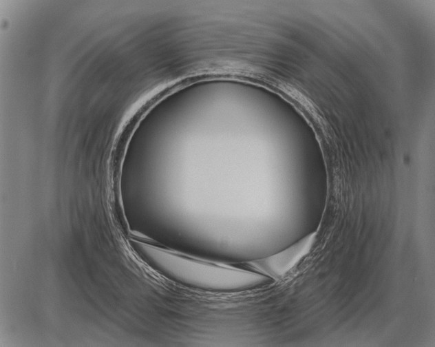 X0000085001120200703261121