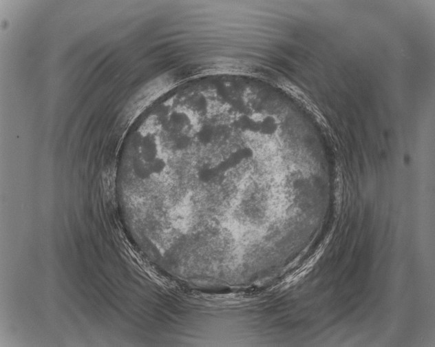 X0000085001121200703261121