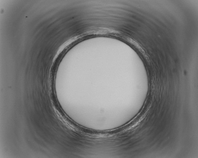 X0000085001122200703261121