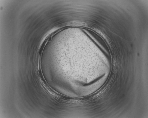 X0000085001123200703261121