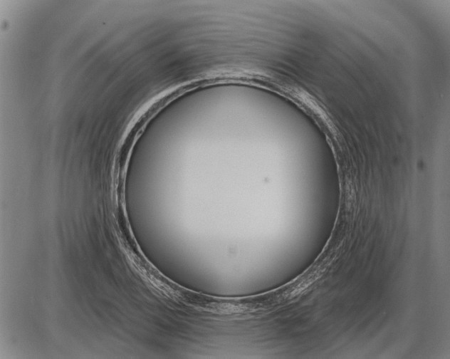 X0000085001124200703261121