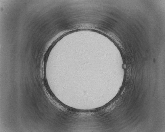 X0000085001126200703261121